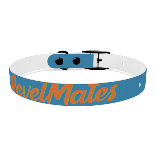 Pet Collar | Blue & Orange RevelMates Design