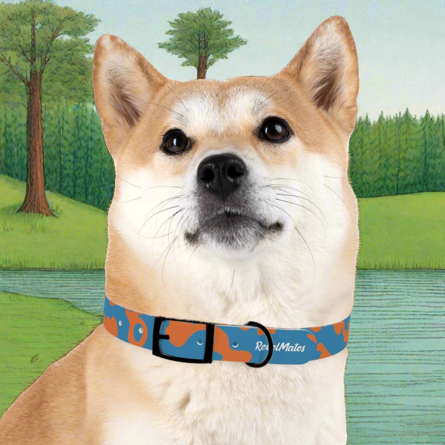 Pet Collar | Camouflage Blue & Orange Design
