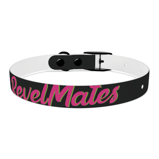 Pet Collar | Black & Fuchsia RevelMates Design
