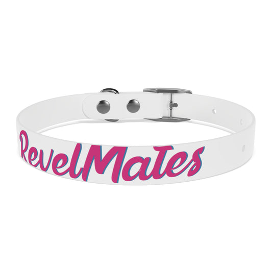 Pet Collar | White & Fuchsia RevelMates Design