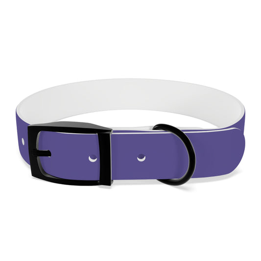Pet Collar | Lavender & Lime RevelMates Design