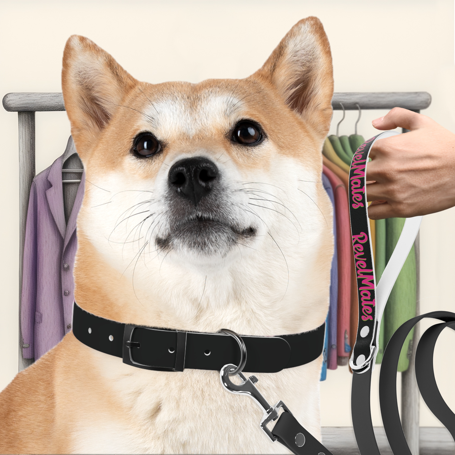 Pet Collar | Black & Fuchsia RevelMates Design