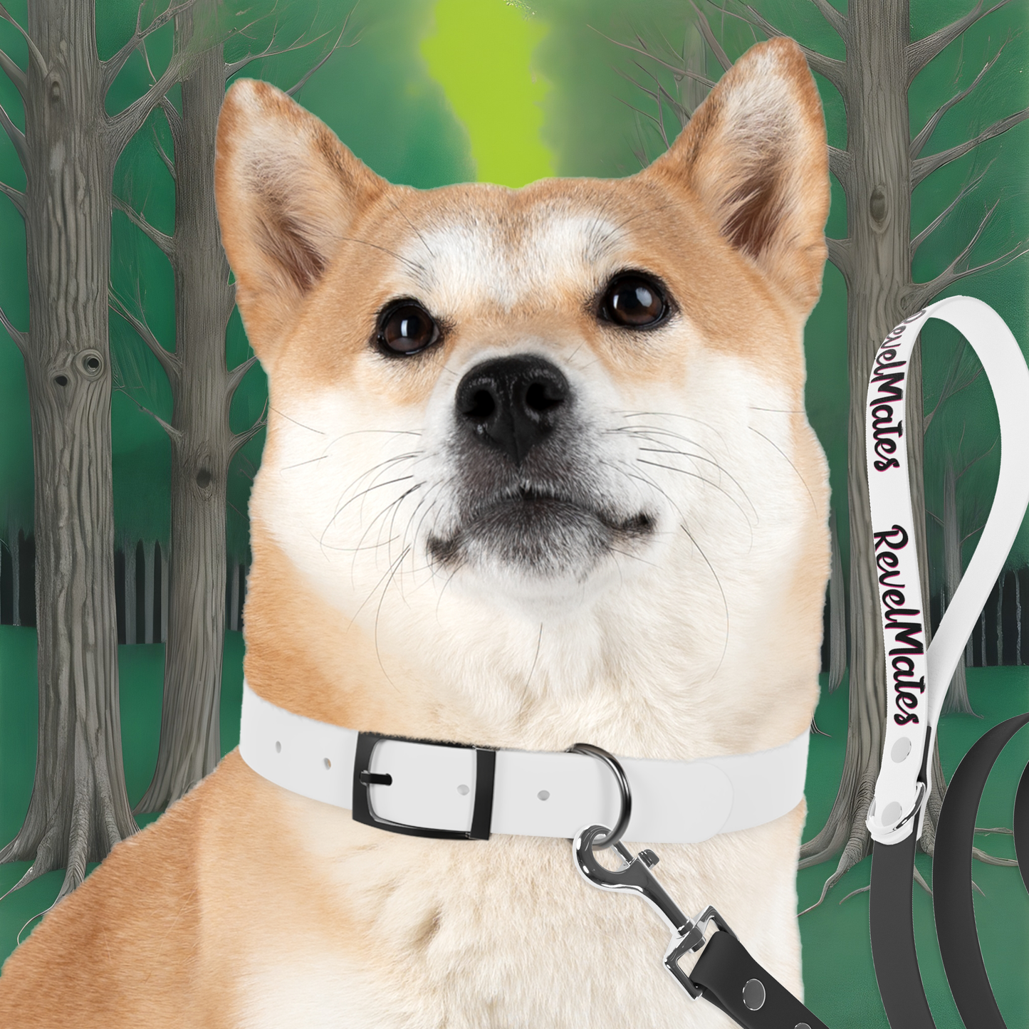 Pet Collar | White & Black RevelMates Design