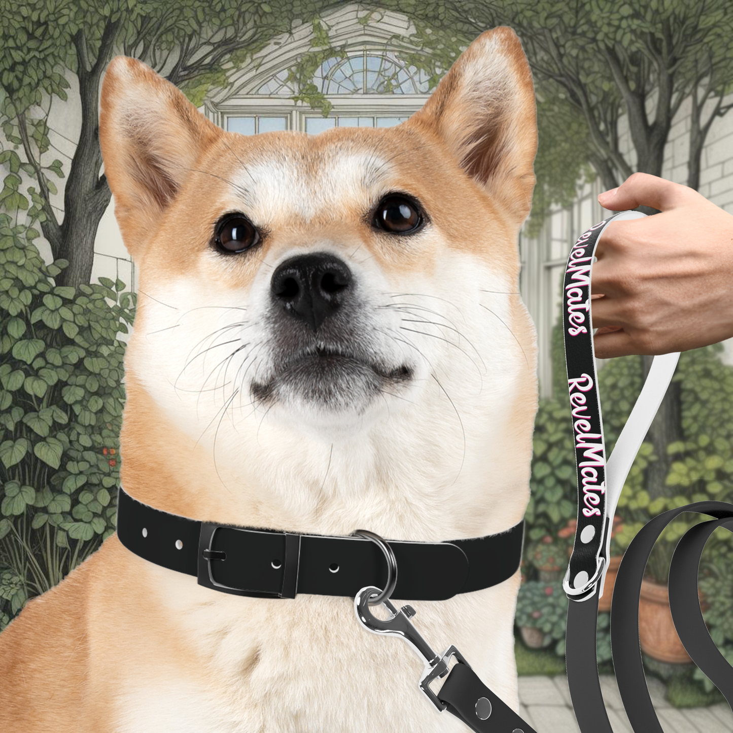 Pet Collar | Black & White RevelMates Design