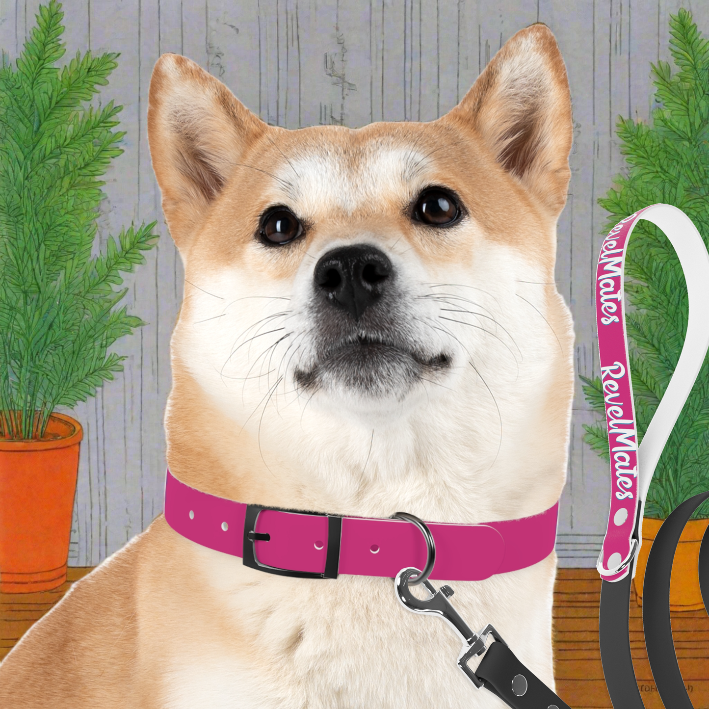 Pet Collar | Fuchsia & White RevelMates Design