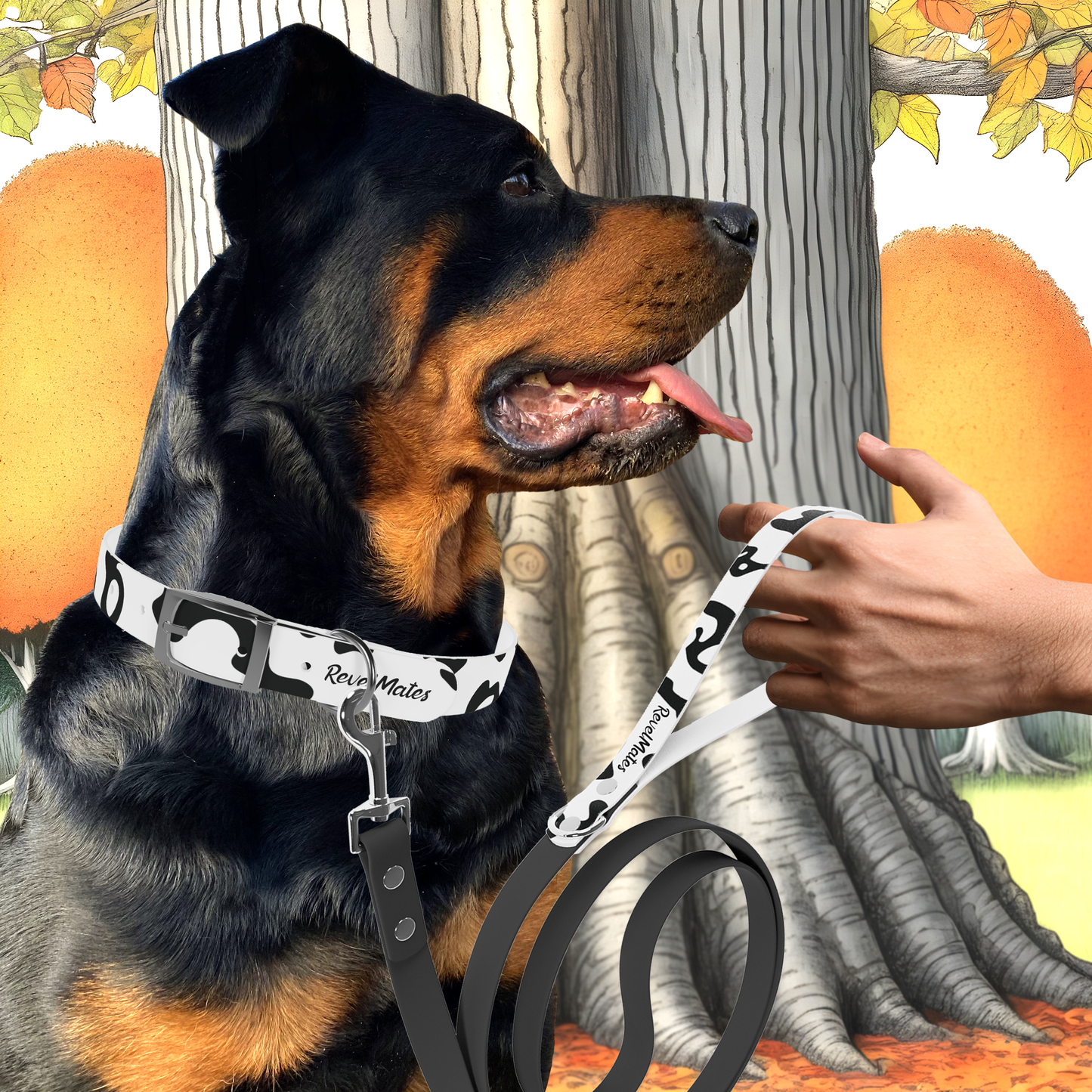 Pet Collar | Camouflage White & Black Design