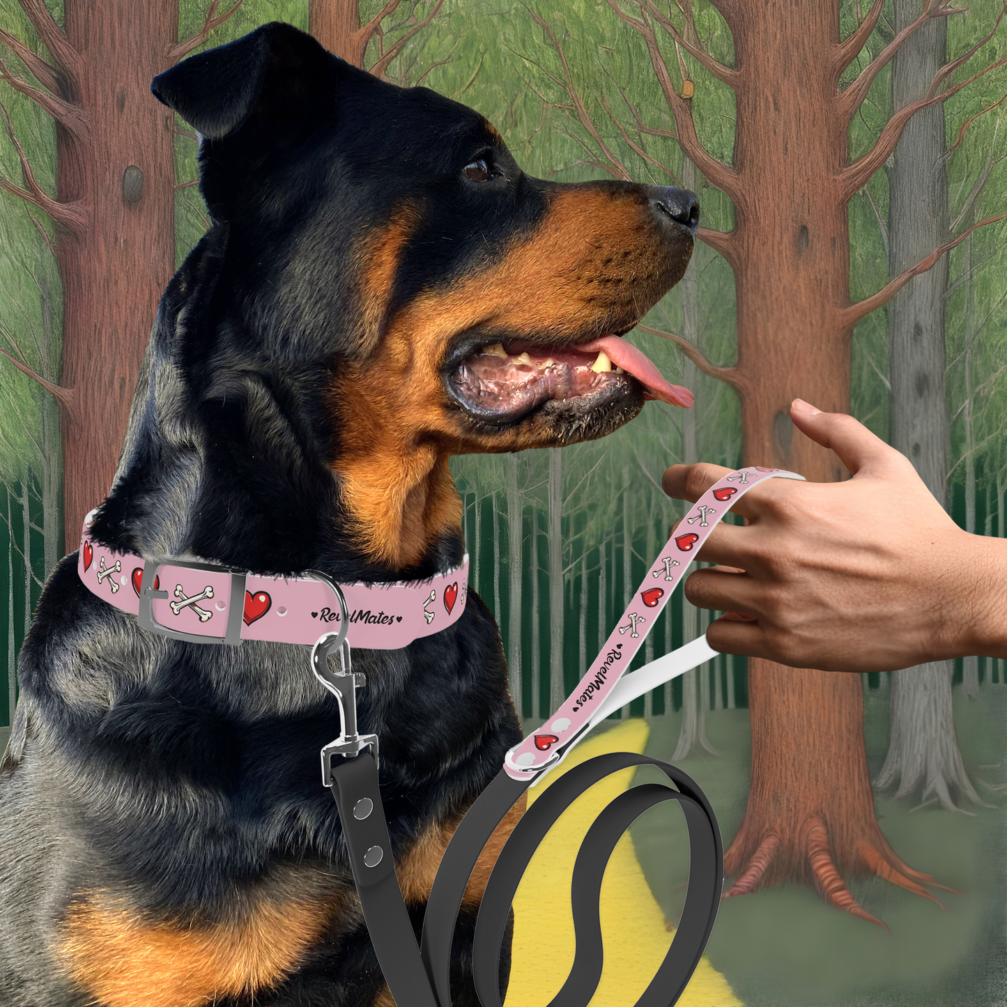 Pet Collar | Skull Tattoo Design | 4 colors