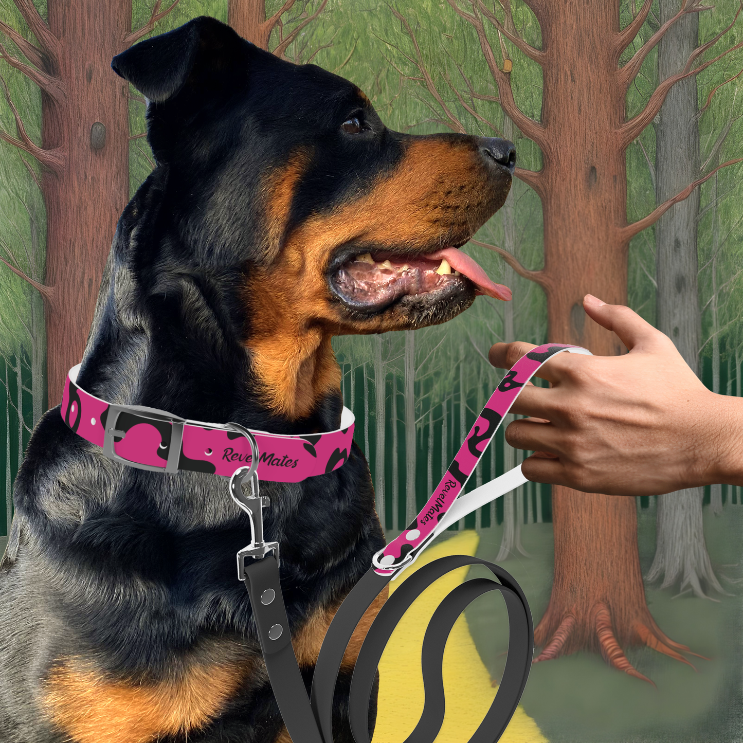 Pet Collar | Camouflage Fuchsia & Black Design