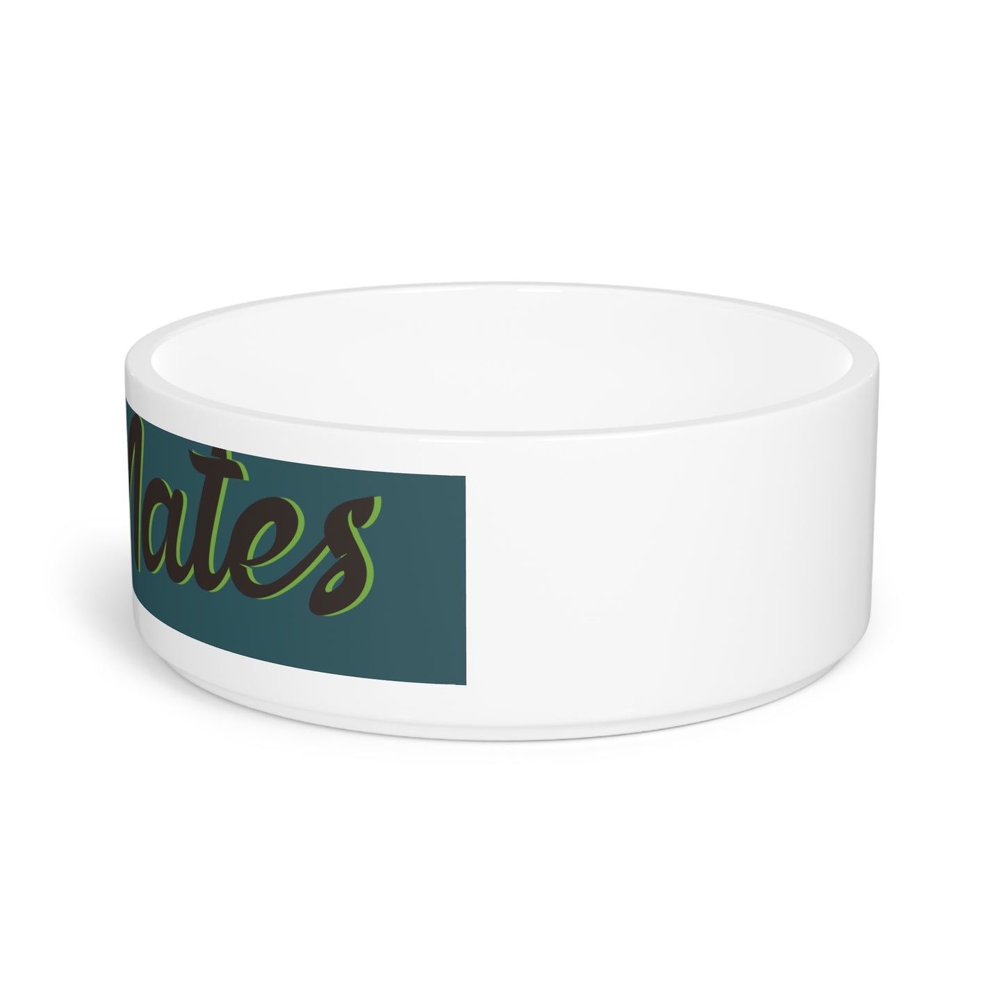 Pet Bowl 16oz (473ml) | Turquoise & Brown RevelMates Design