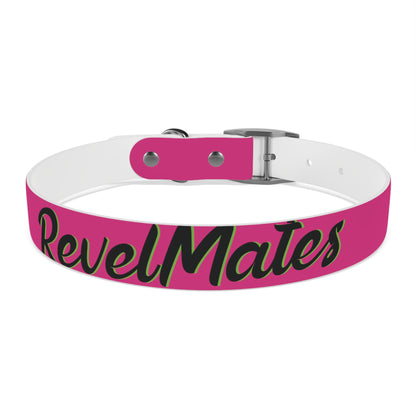 Pet Collar | Fuchsia & Black RevelMates Design