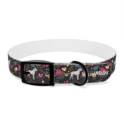 Pet Collar | Hearts & Tails Design