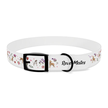 Pet Collar | Puppy Love Design