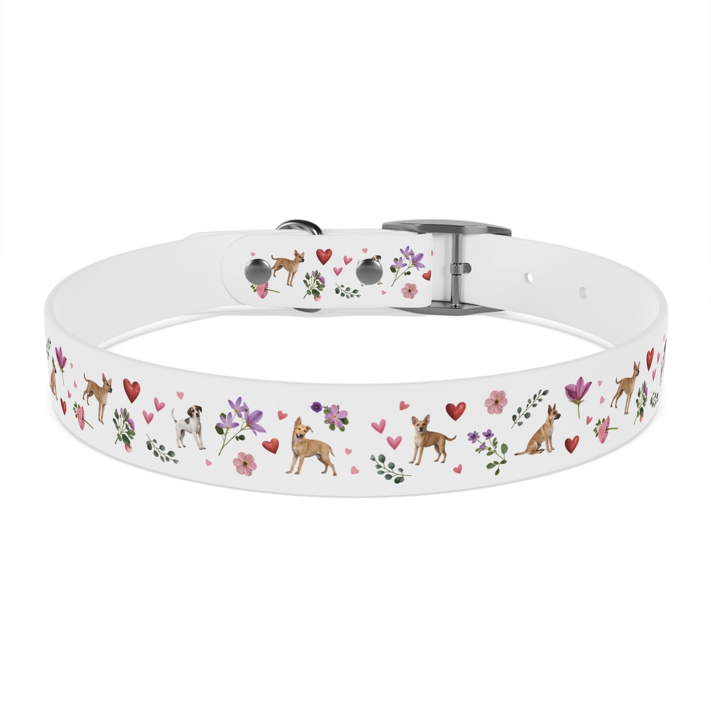 Pet Collar | Puppy Love Design