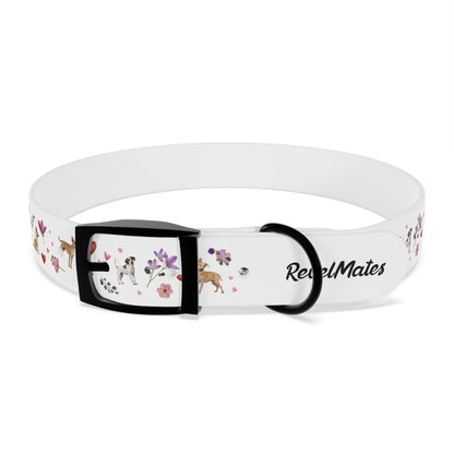 Pet Collar | Puppy Love Design