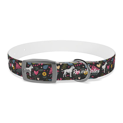 Pet Collar | Hearts & Tails Design