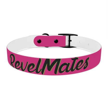 Pet Collar | Fuchsia & Black RevelMates Design