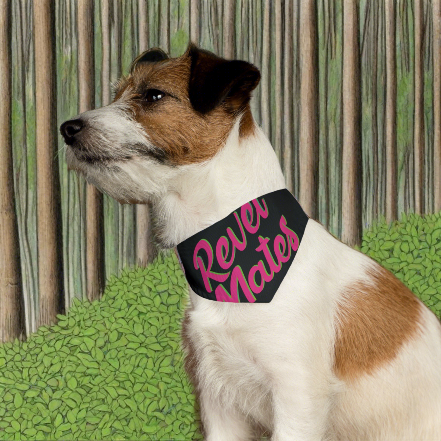 Pet Bandana Collar | Black & Fuchsia RevelMates Design