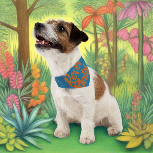 Pet Bandana Collar | Blue & Orange RevelMates Design