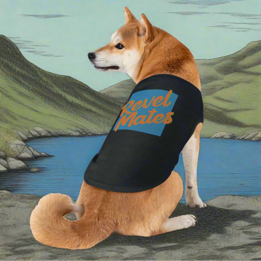 Pet T-Shirt | Blue & Orange RevelMates Square Design | 4 colors