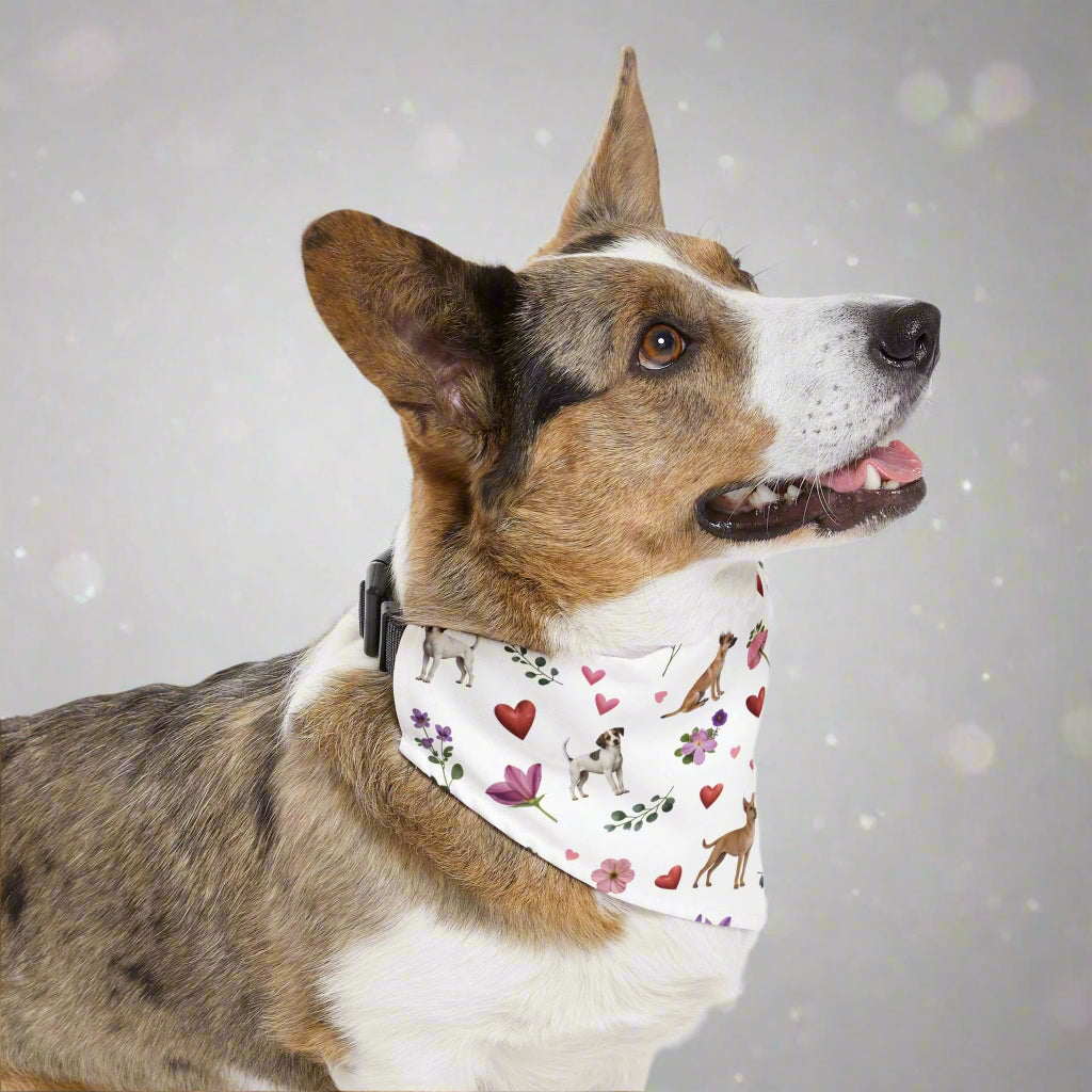 Pet Bandana Collar | Puppy Love Design