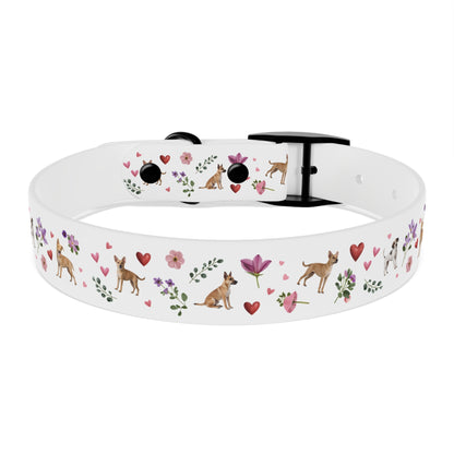 Pet Collar | Puppy Love Design