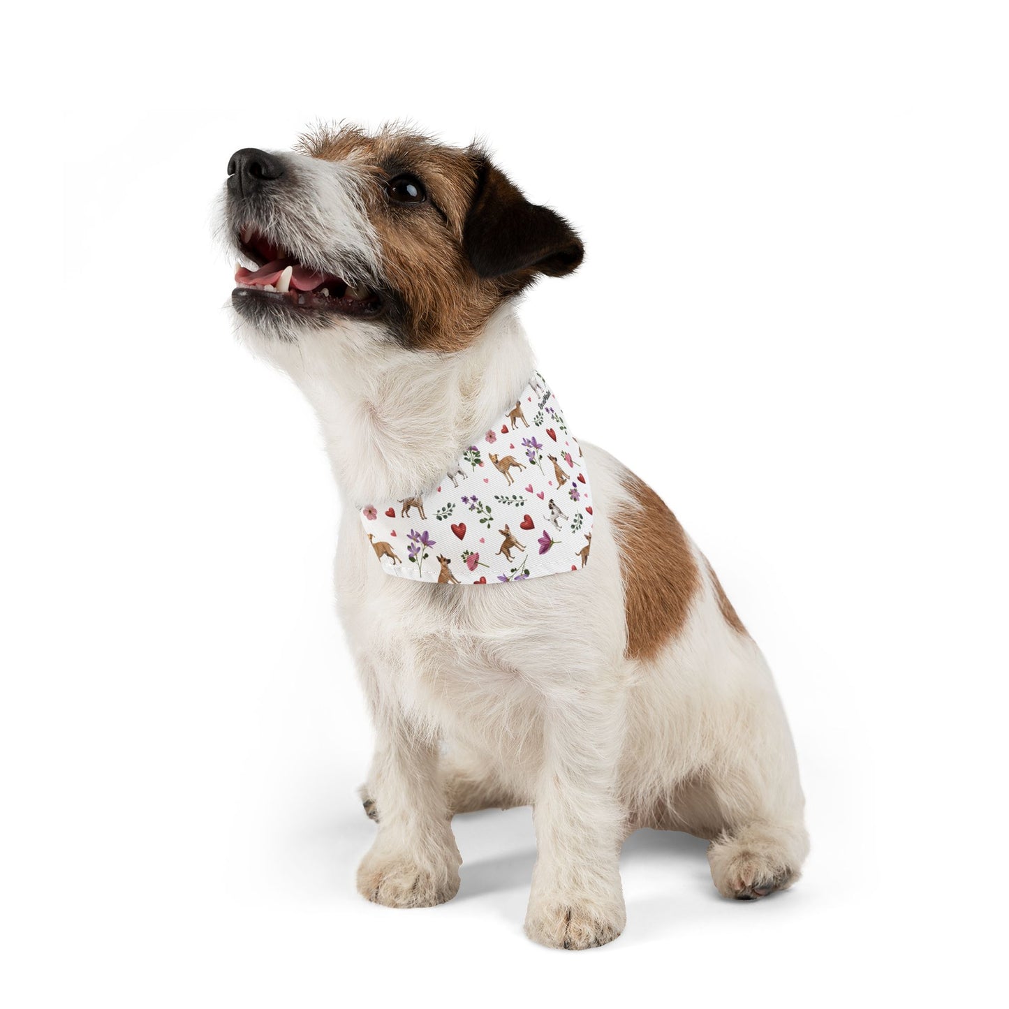 Pet Bandana Collar | Puppy Love Design