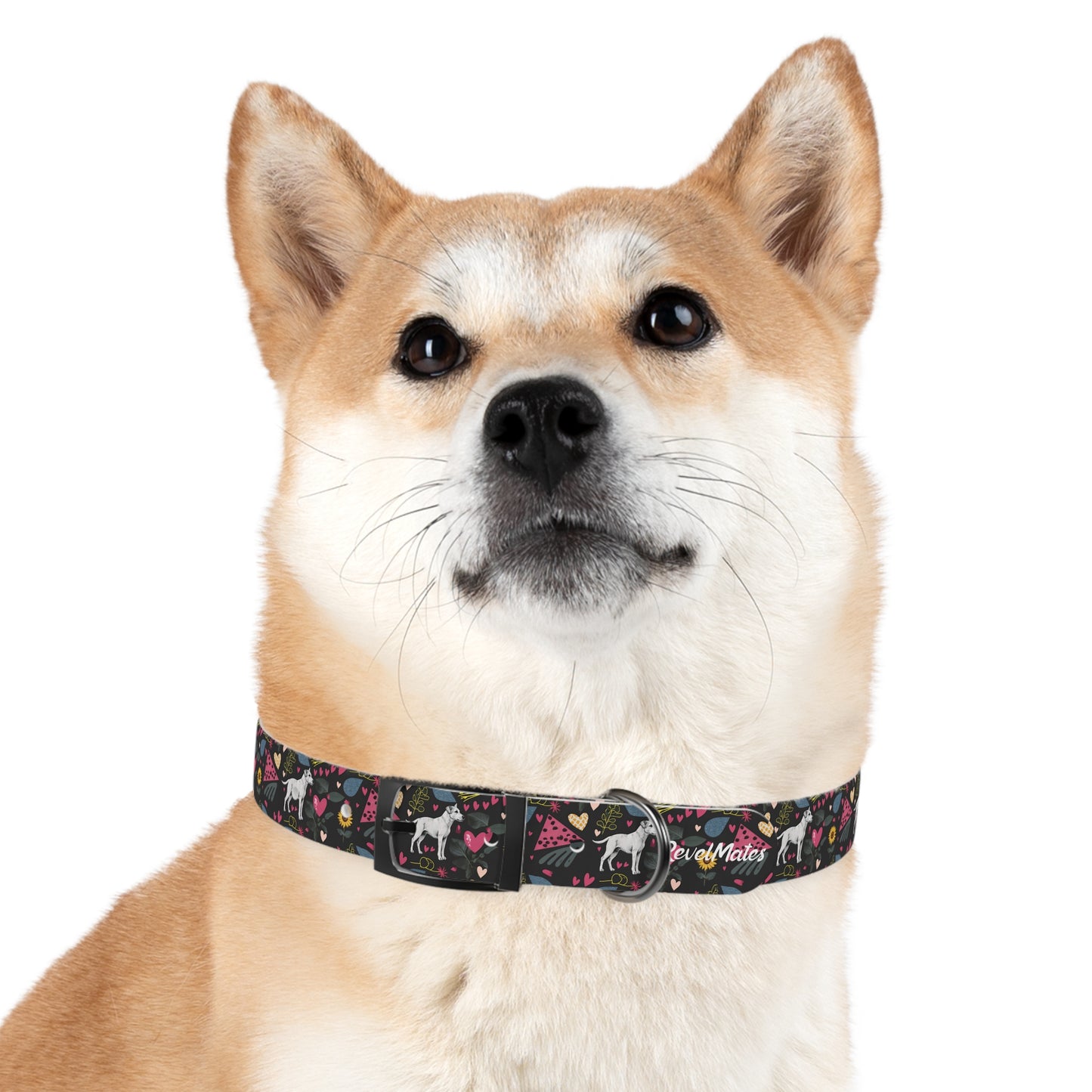 Pet Collar | Hearts & Tails Design