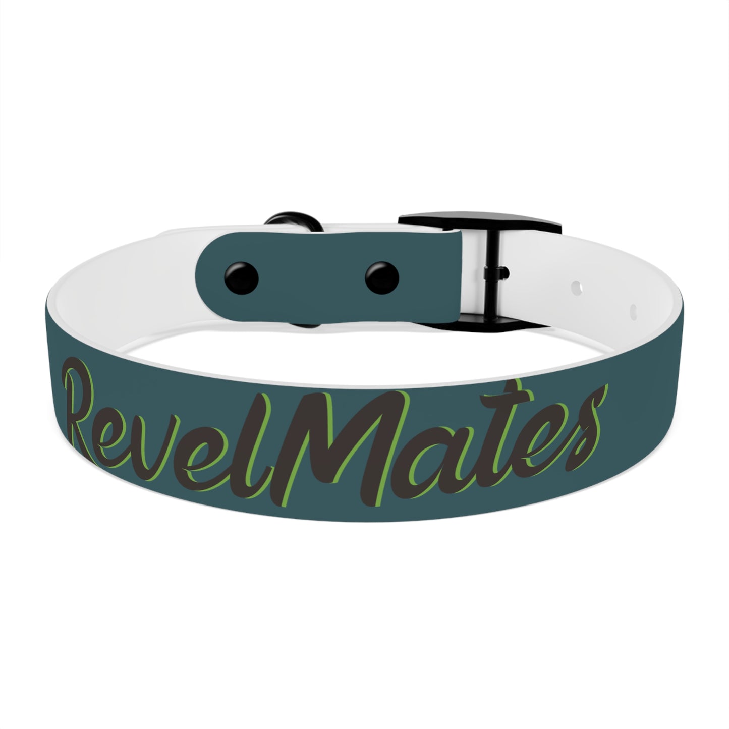 Pet Collar | Turquoise & Brown RevelMates Design