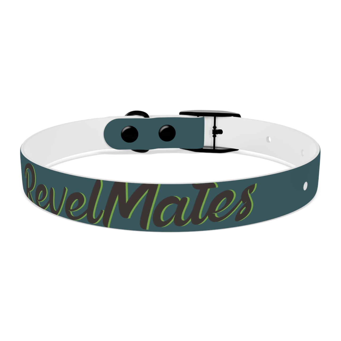 Pet Collar | Turquoise & Brown RevelMates Design