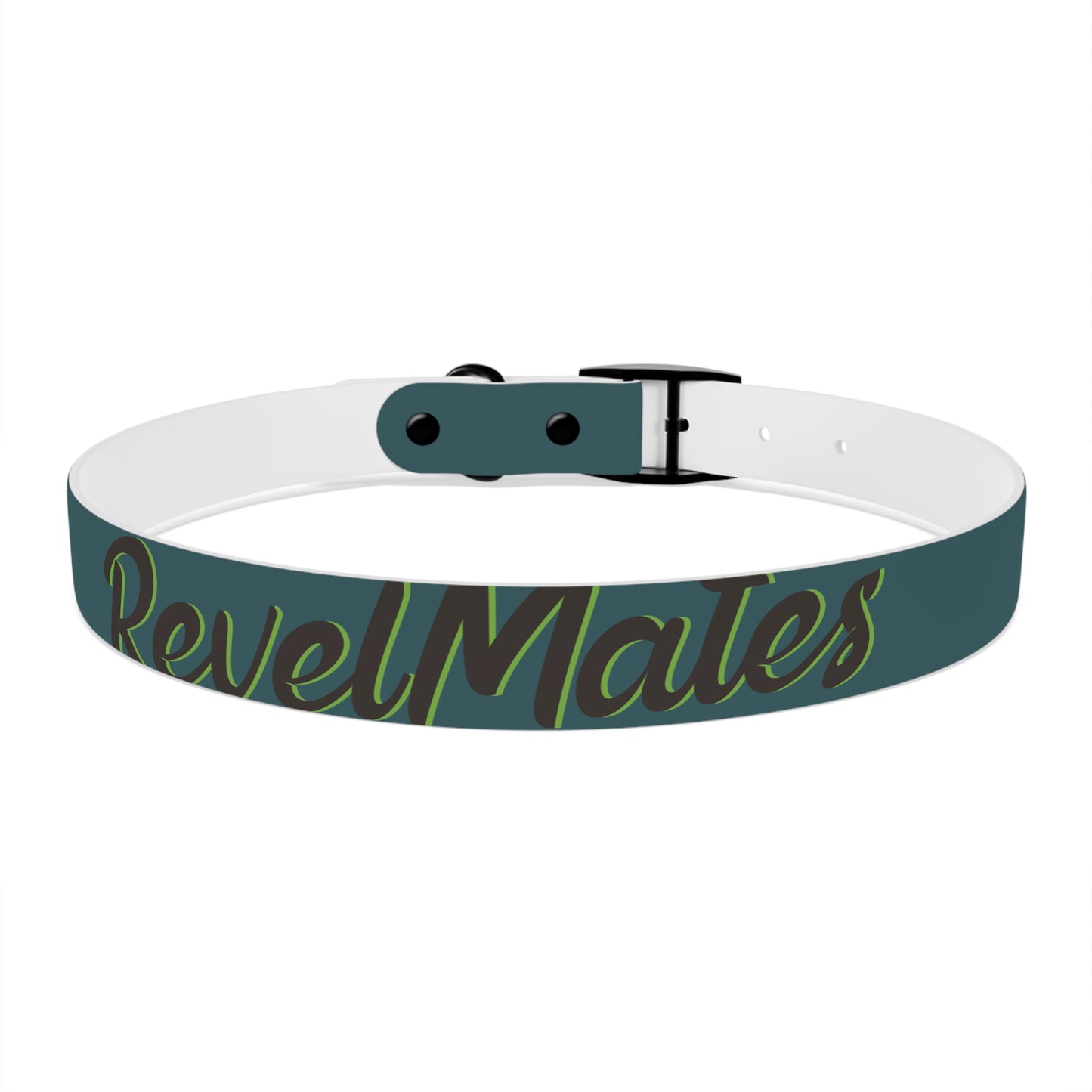 Pet Collar | Turquoise & Brown RevelMates Design