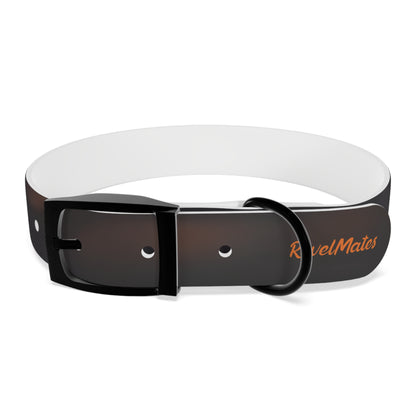 Pet Collar | Hip-Hop Brothers Design