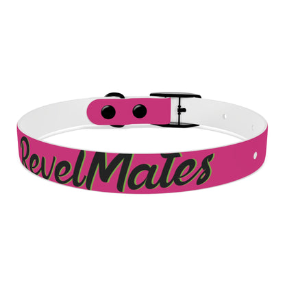 Pet Collar | Fuchsia & Black RevelMates Design