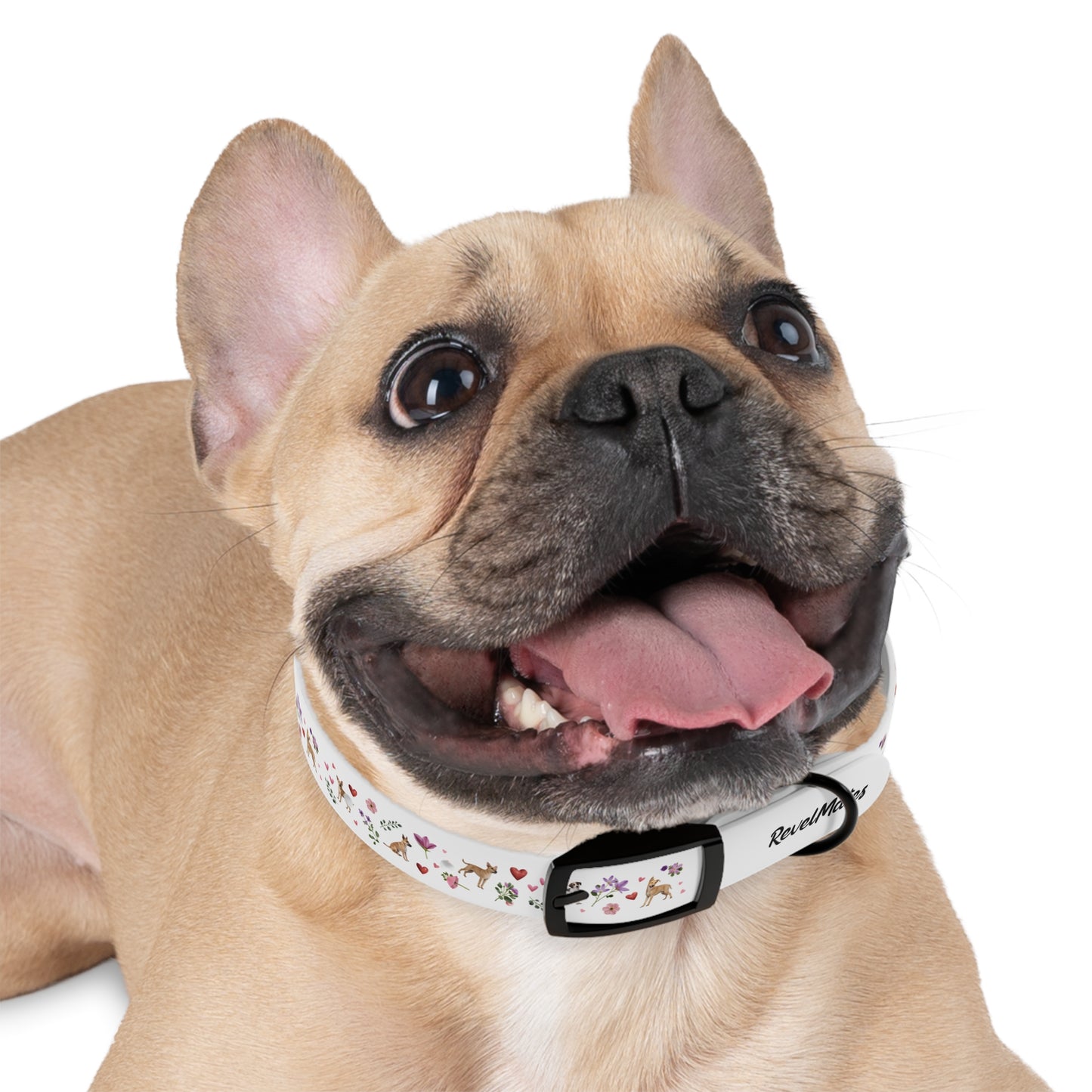 Pet Collar | Puppy Love Design