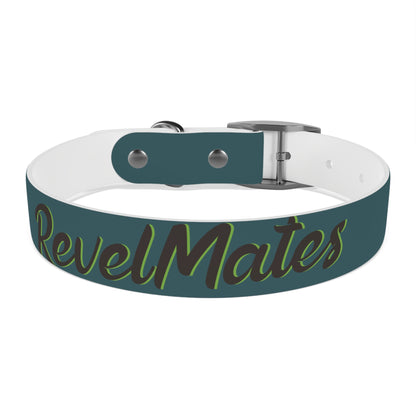 Pet Collar | Turquoise & Brown RevelMates Design