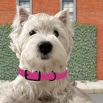 Pet Collar | Fuchsia & Black RevelMates Design