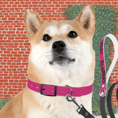 Pet Collar | Fuchsia & Black RevelMates Design